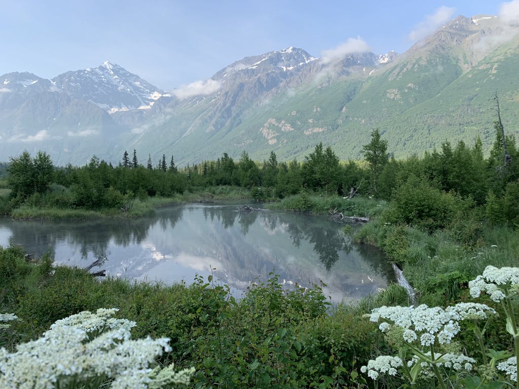 Alaska Weather in May: Best 2024 Travel Guide