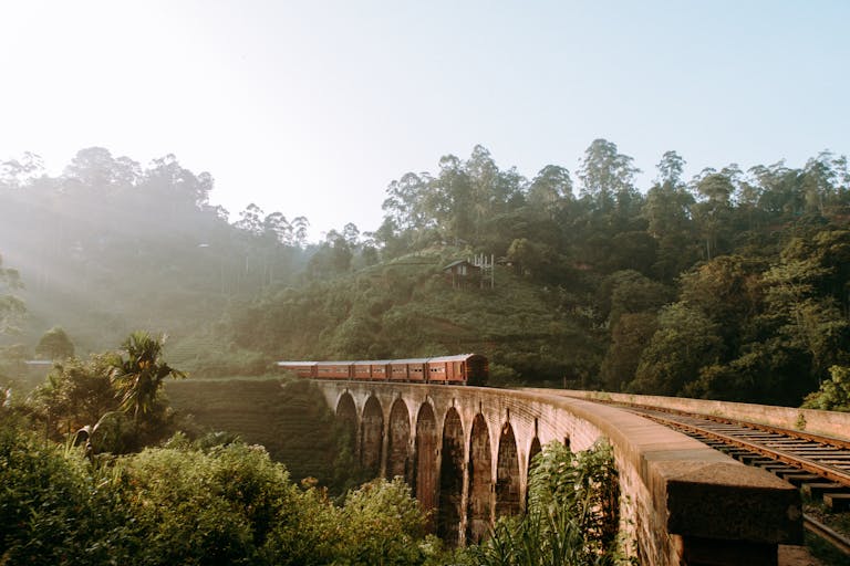 Sri Lanka Weather in August and Top Travel Tips